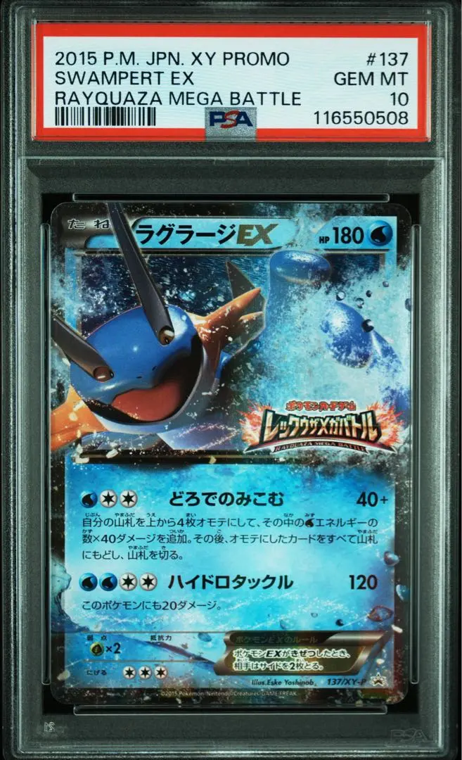 2026年最新】ラグラージex psa10の人気アイテム - メルカリ