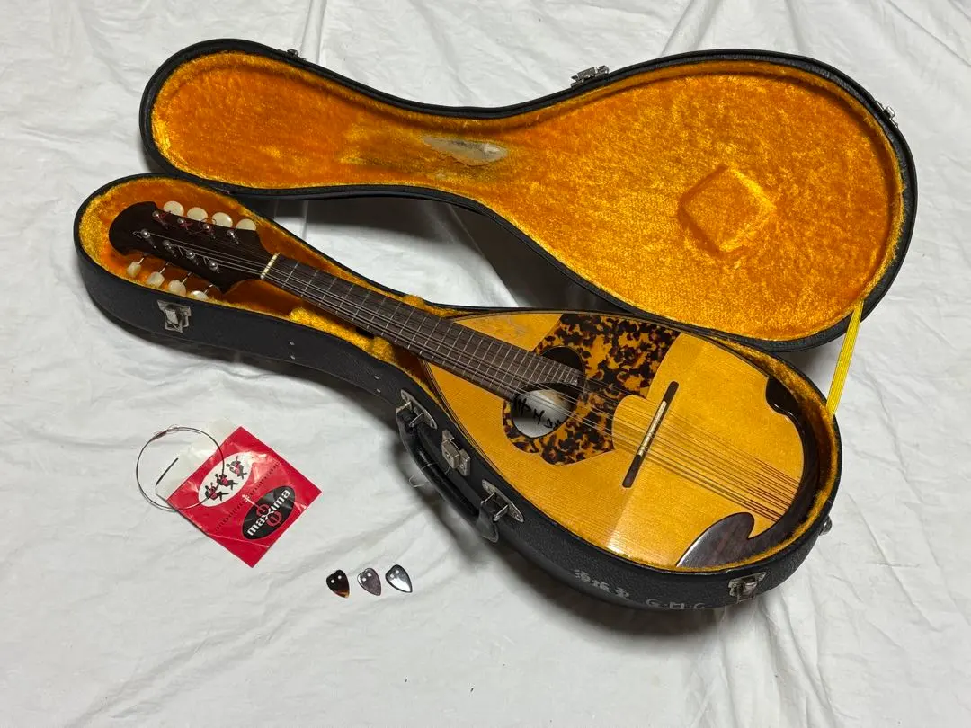 2026年最新】石川マンドリンの人気アイテム - メルカリ