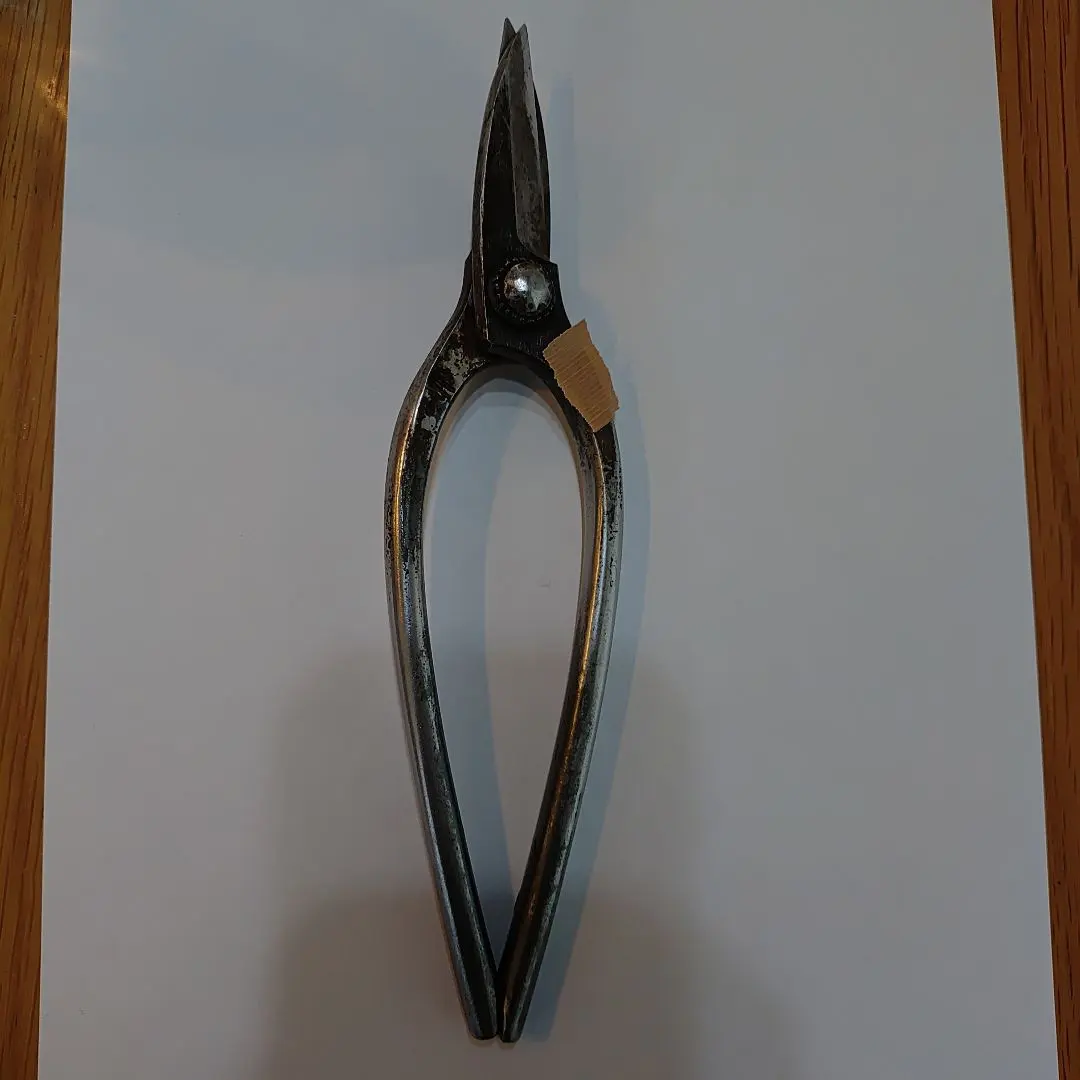 m56459451381_1.jpg?1767573467