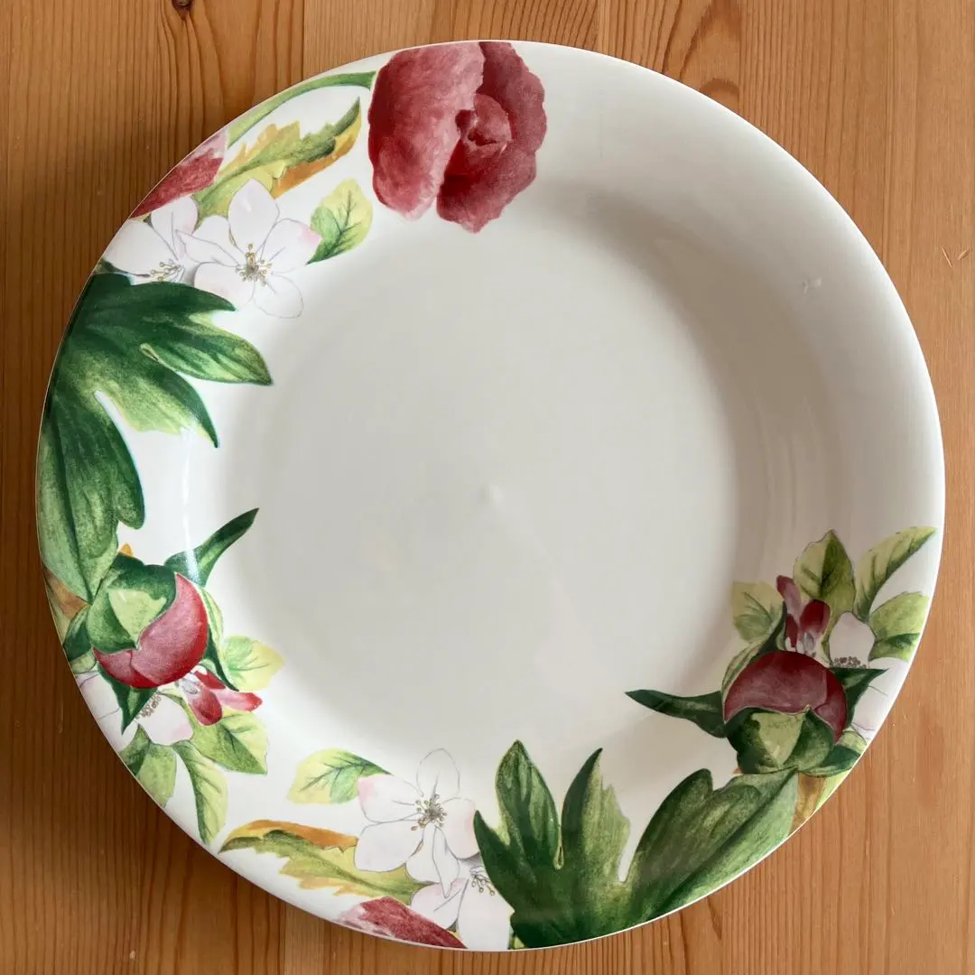 2026年最新】Gien アイテム 種類：大皿 皿の人気アイテム - メルカリ