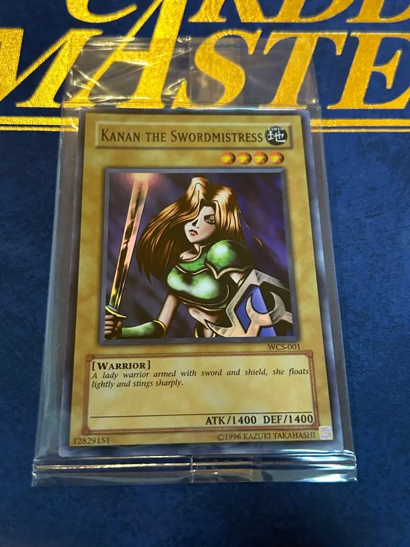2026年最新】女剣士カナン wcsの人気アイテム - メルカリ