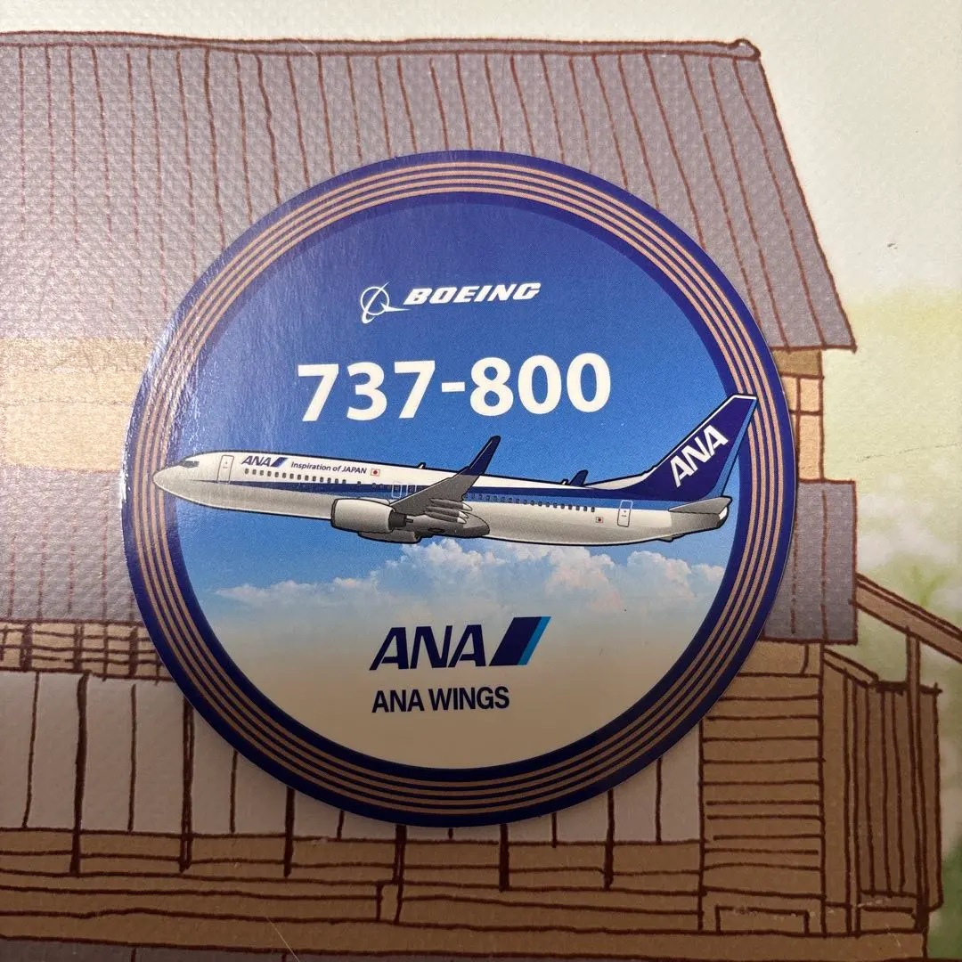 2026年最新】機体名：Boeing B737-800 航空機・ヘリコプターの人気