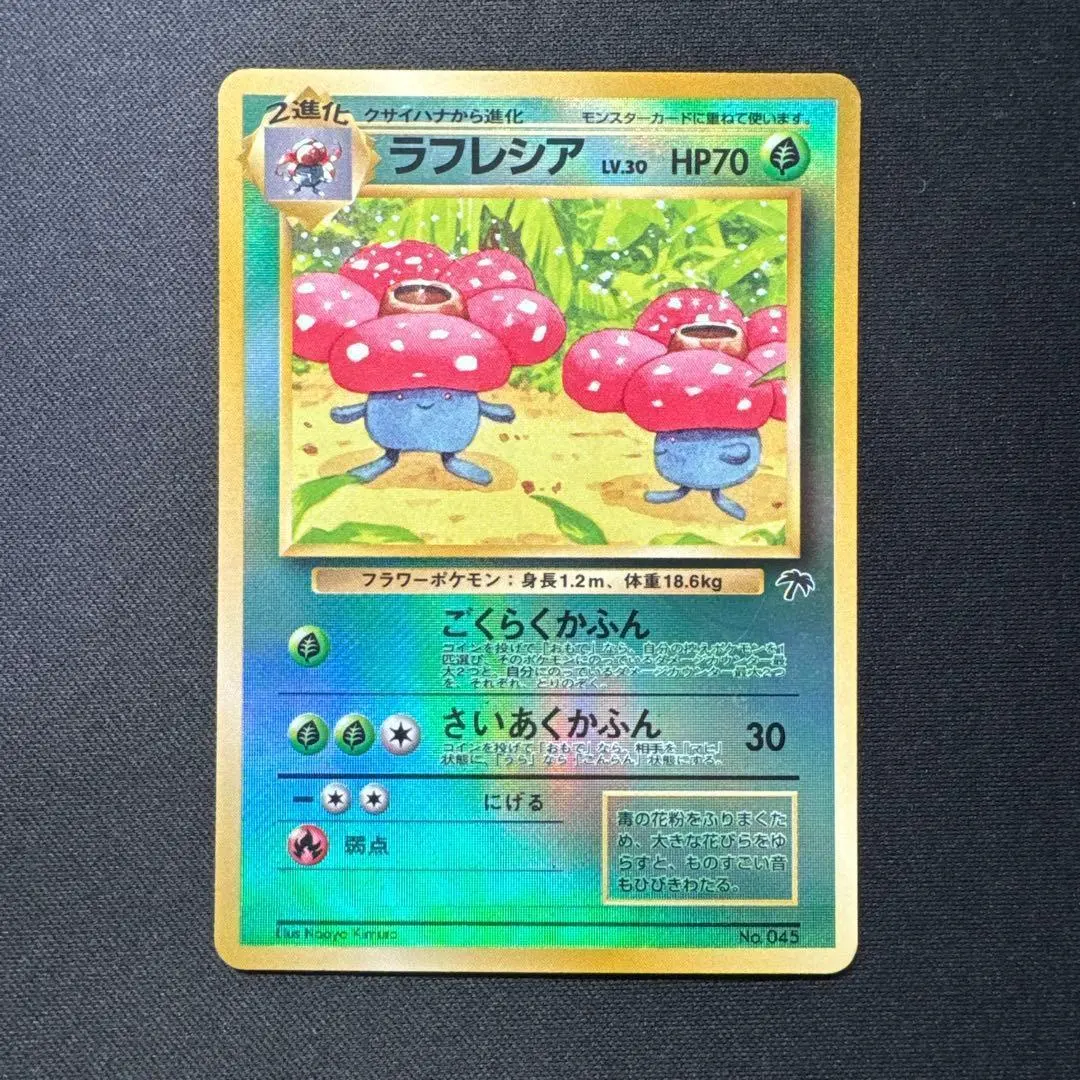 2026年最新】サザンアイランド ラフレシアの人気アイテム - メルカリ