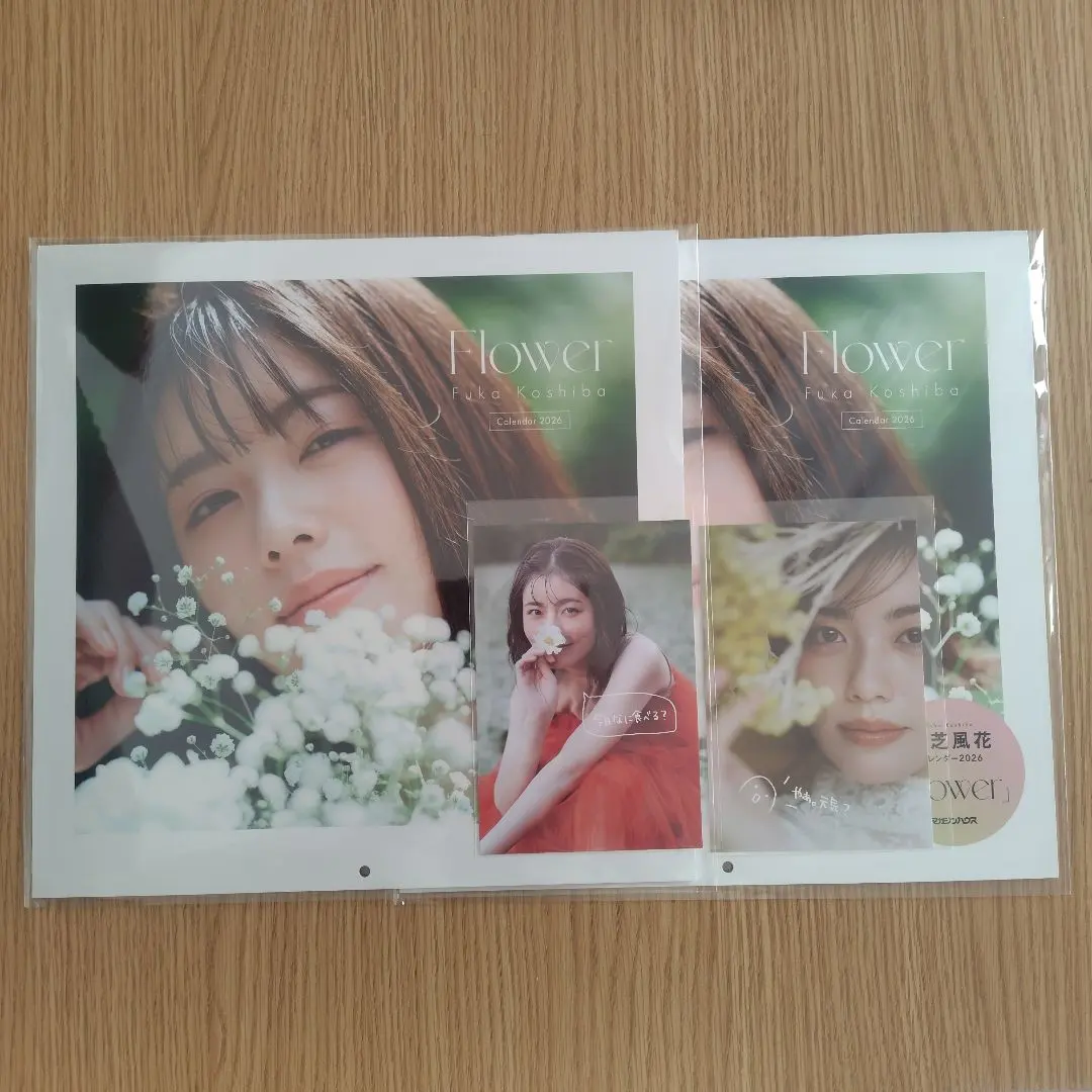 2026年最新】小芝風花 カードの人気アイテム - メルカリ