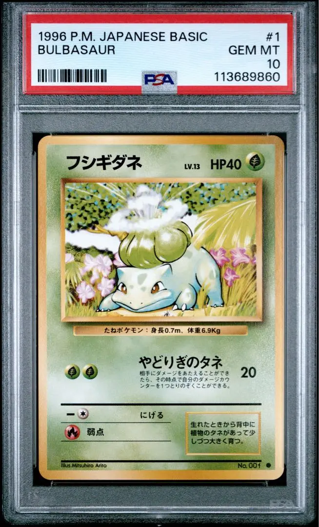 2026年最新】フシギダネ 旧裏 psa10の人気アイテム - メルカリ