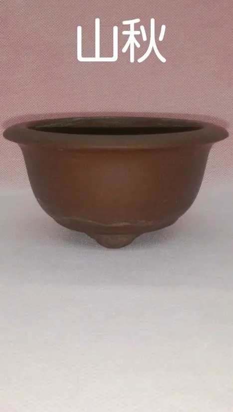 2026年最新】松泉焼 山秋造の人気アイテム - メルカリ