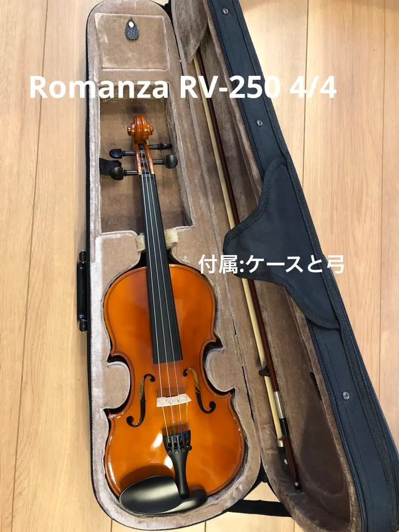 2026年最新】rv- romanzaの人気アイテム - メルカリ