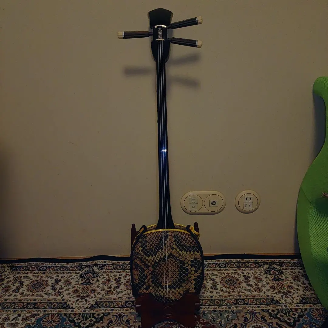 2026年最新】真壁型三線の人気アイテム - メルカリ