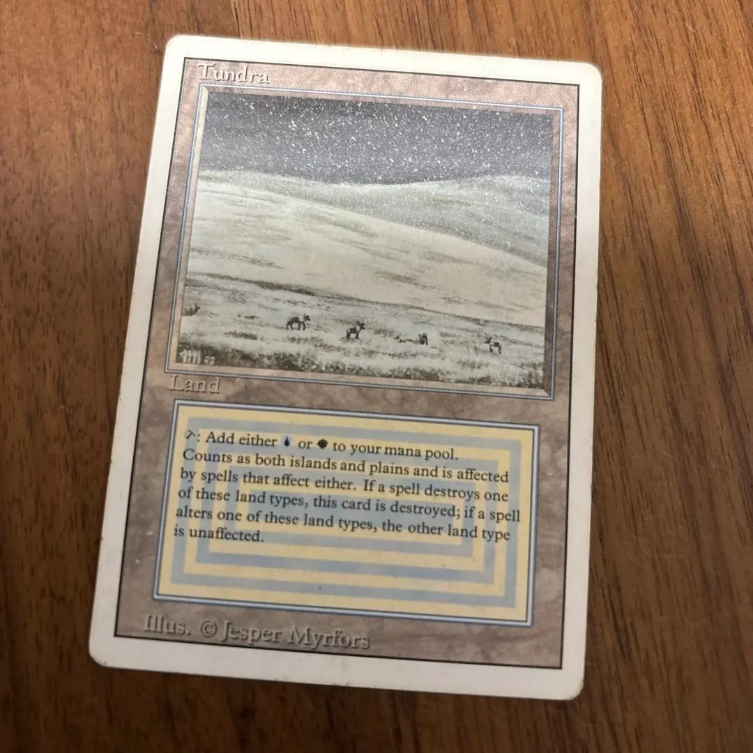 2026年最新】tundra mtgの人気アイテム - メルカリ