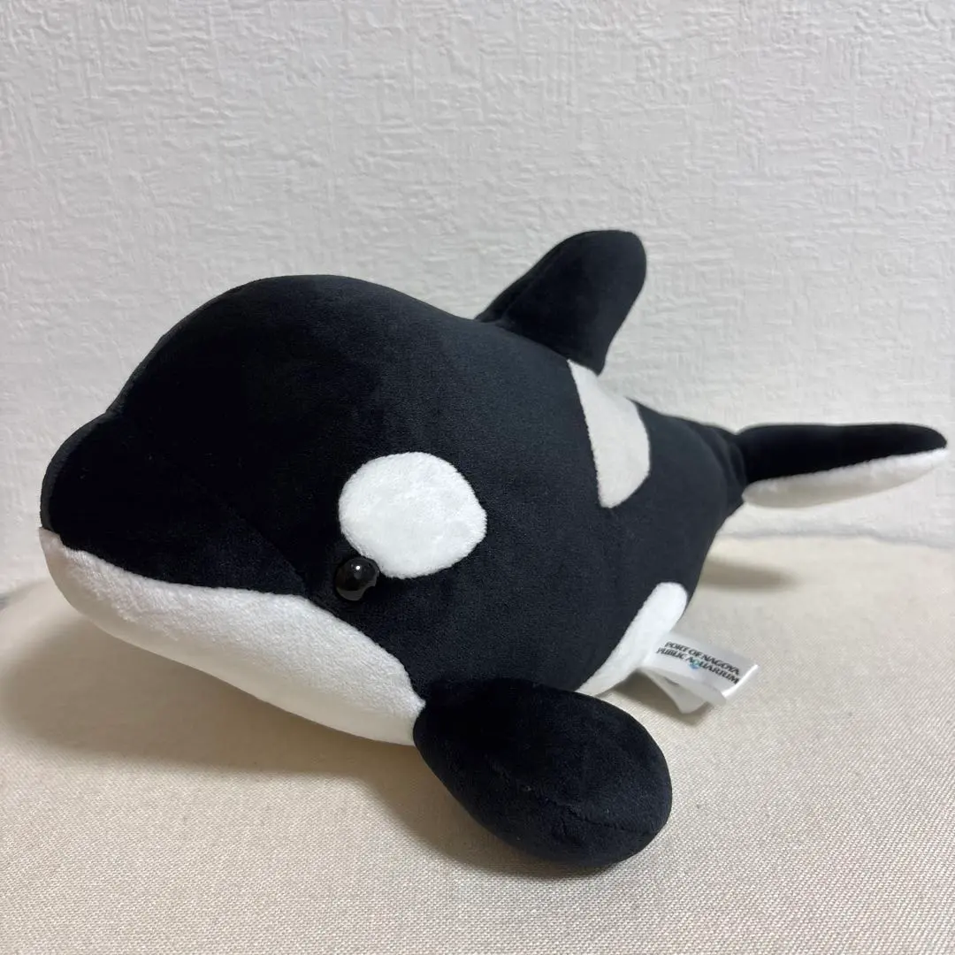 2026年最新】名古屋港水族館 シャチくじの人気アイテム - メルカリ