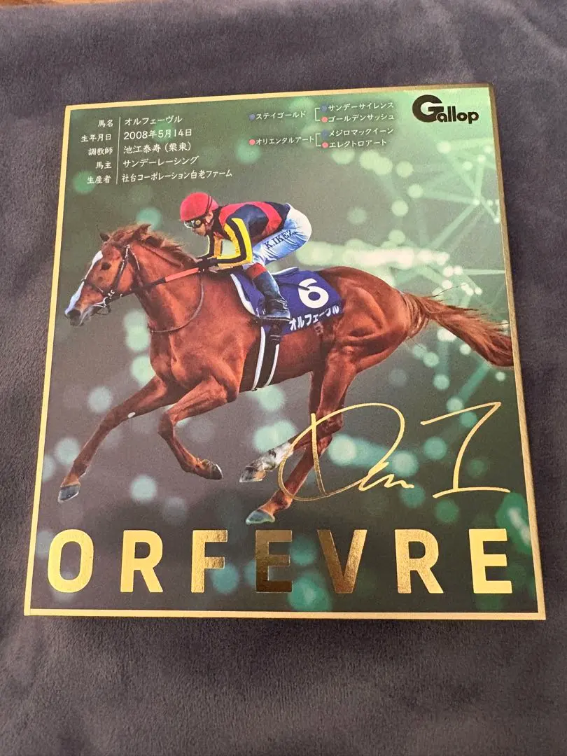 2026年最新】池添 サインの人気アイテム - メルカリ