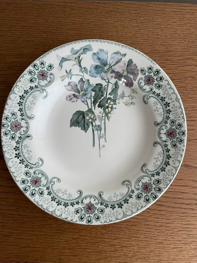 2026年最新】ショワジールロワ 切り花の人気アイテム - メルカリ