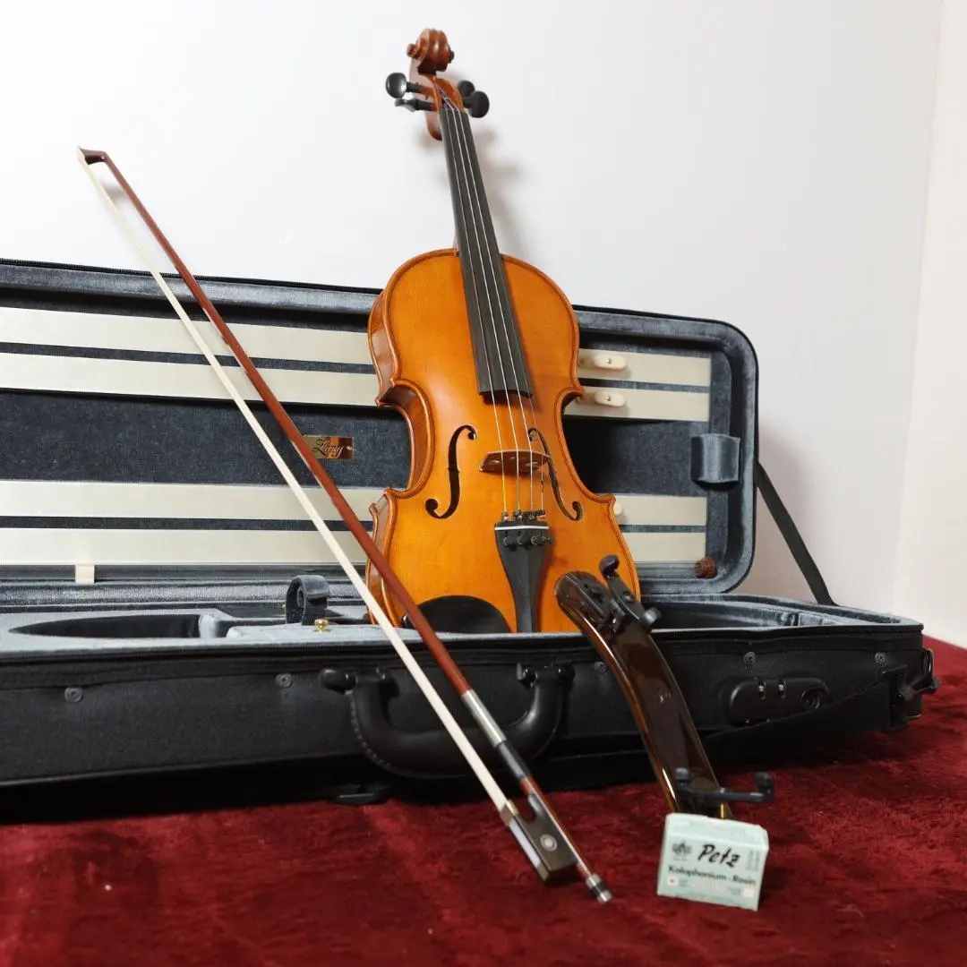 2026年最新】バイオリン GLIGAの人気アイテム - メルカリ