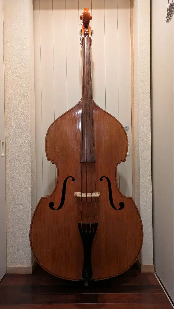 2026年最新】コントラバス エンドピンの人気アイテム - メルカリ