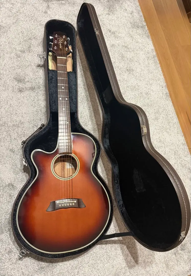 2026年最新】takamine pt 106の人気アイテム - メルカリ