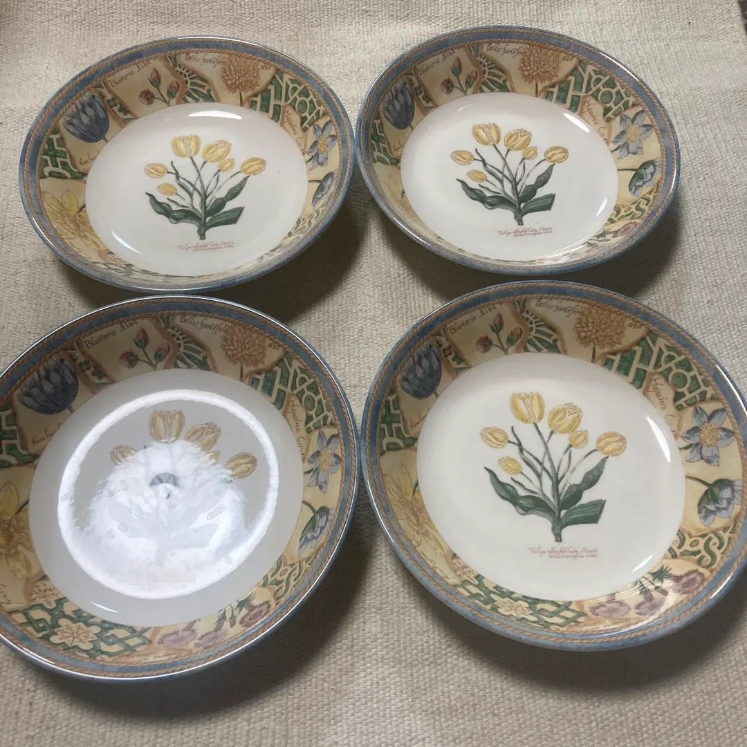 2026年最新】ウェッジウッド ガーデンメイズの人気アイテム - メルカリ