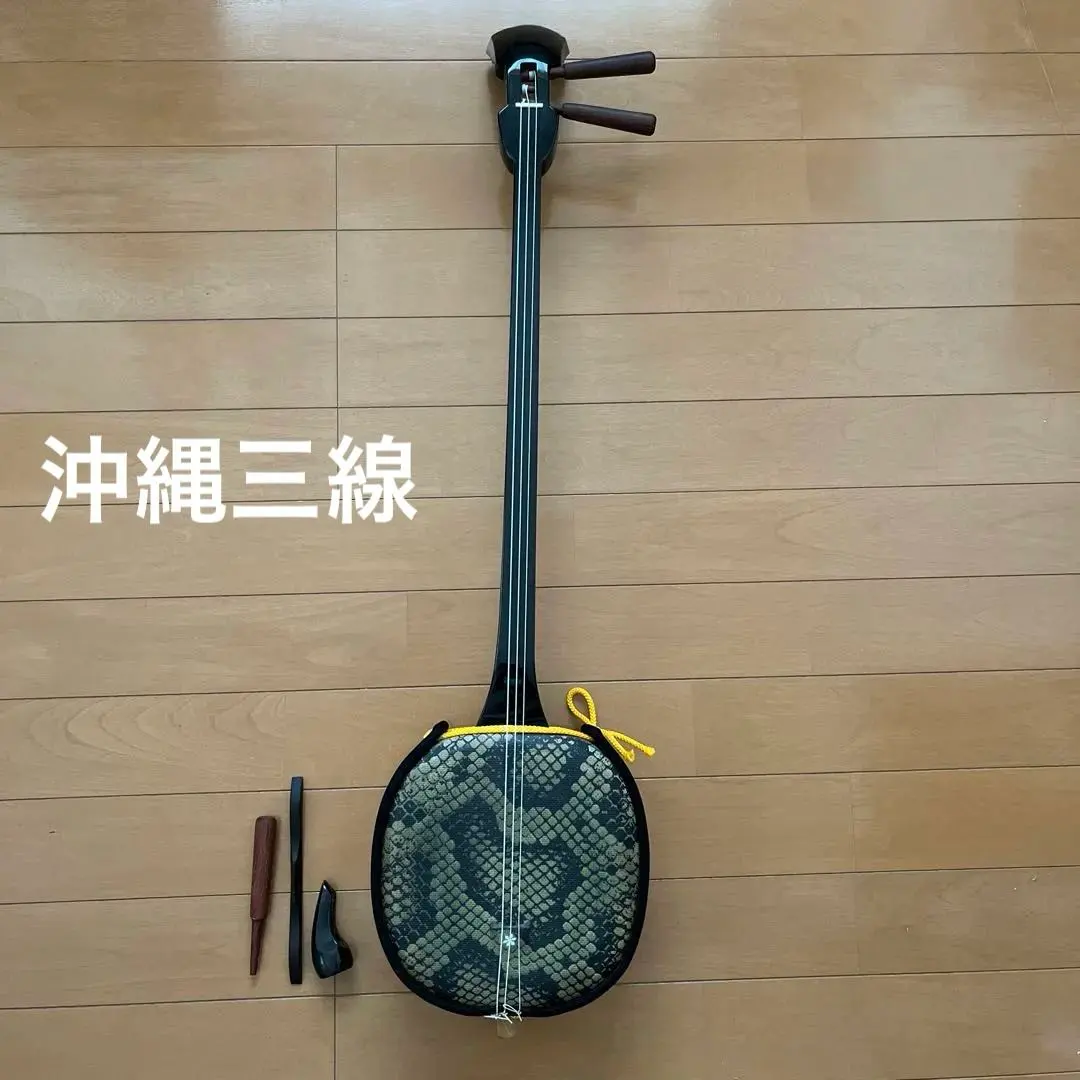 2026年最新】asoviva 三線の人気アイテム - メルカリ