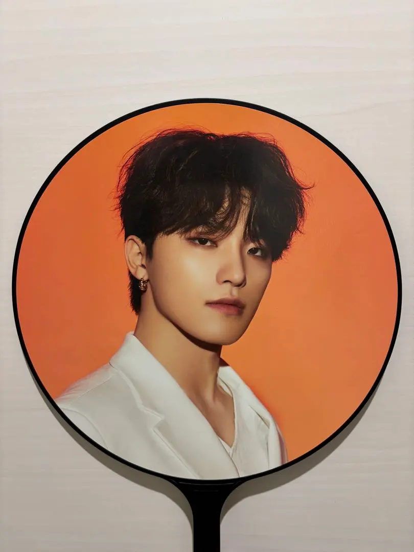 2026年最新】be the sun うちわ ウォヌの人気アイテム - メルカリ