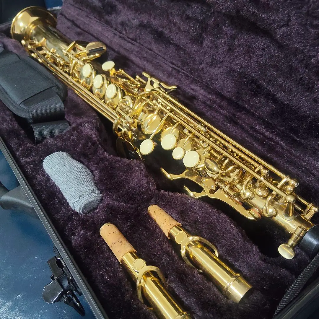 2026年最新】mavisサックスの人気アイテム - メルカリ