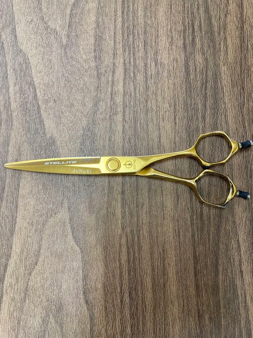 2026年最新】ミズタニシザー ステライトの人気アイテム - メルカリ