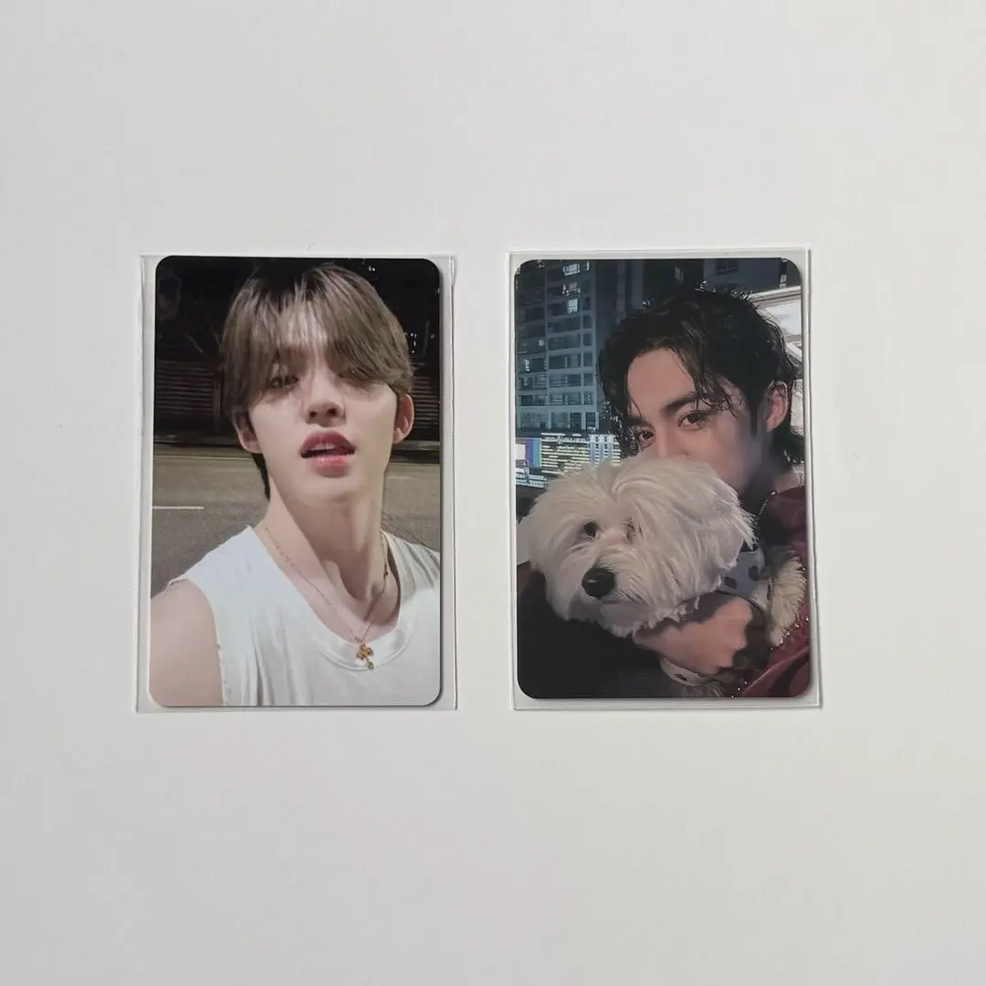 2026年最新】エスクプス クマ トレカの人気アイテム - メルカリ