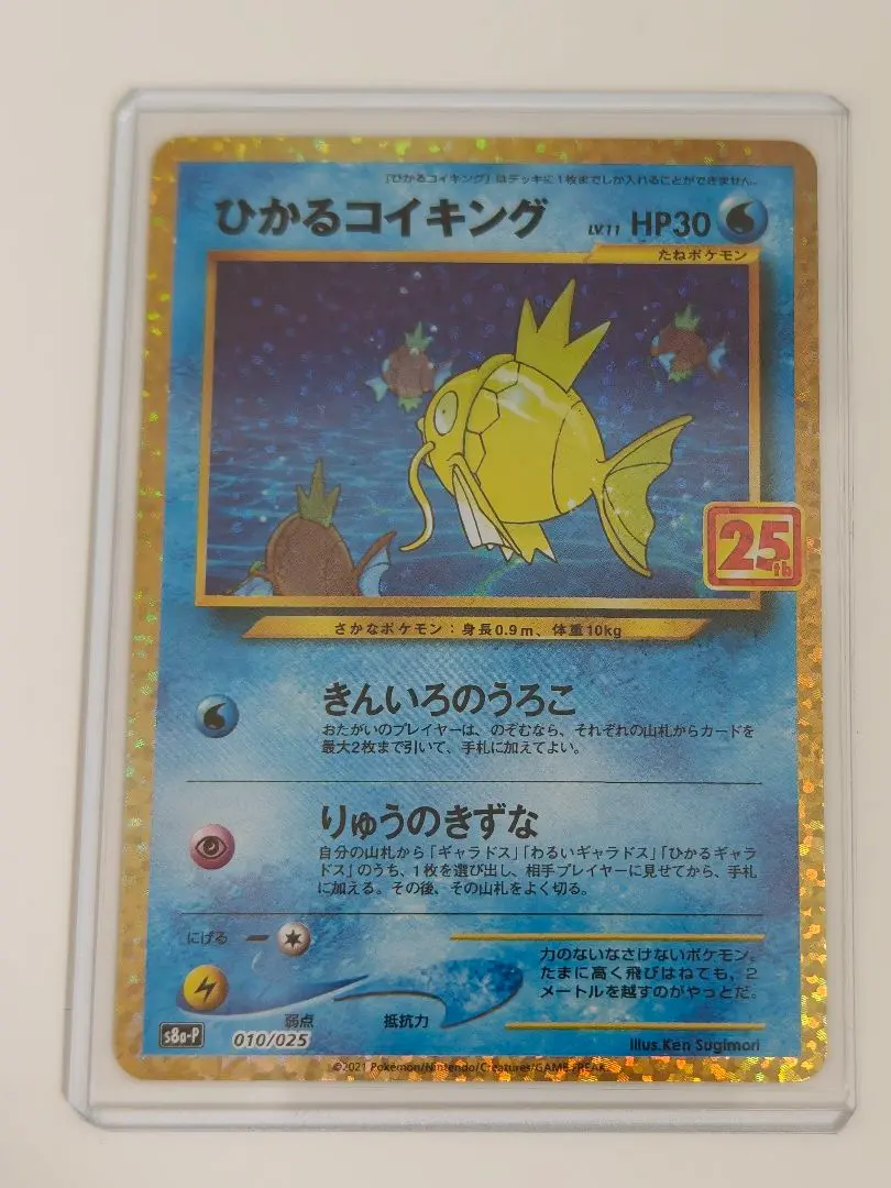 m61961721302_1.jpg?1771678116