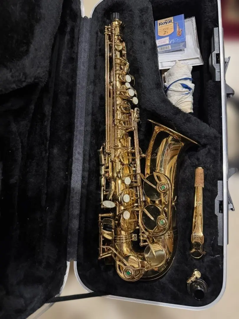 2026年最新】antigua サックスの人気アイテム - メルカリ