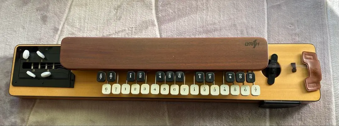 2026年最新】大正琴 ライリッシュの人気アイテム - メルカリ