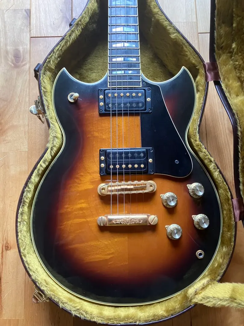 2026年最新】yamaha sg ハードケースの人気アイテム - メルカリ