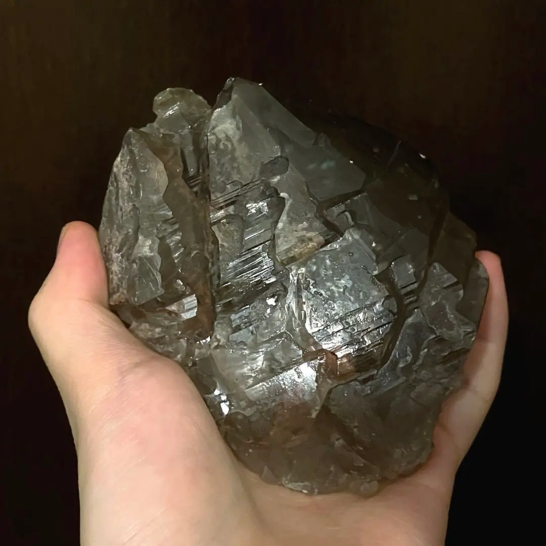 2026年最新】骸晶の人気アイテム - メルカリ