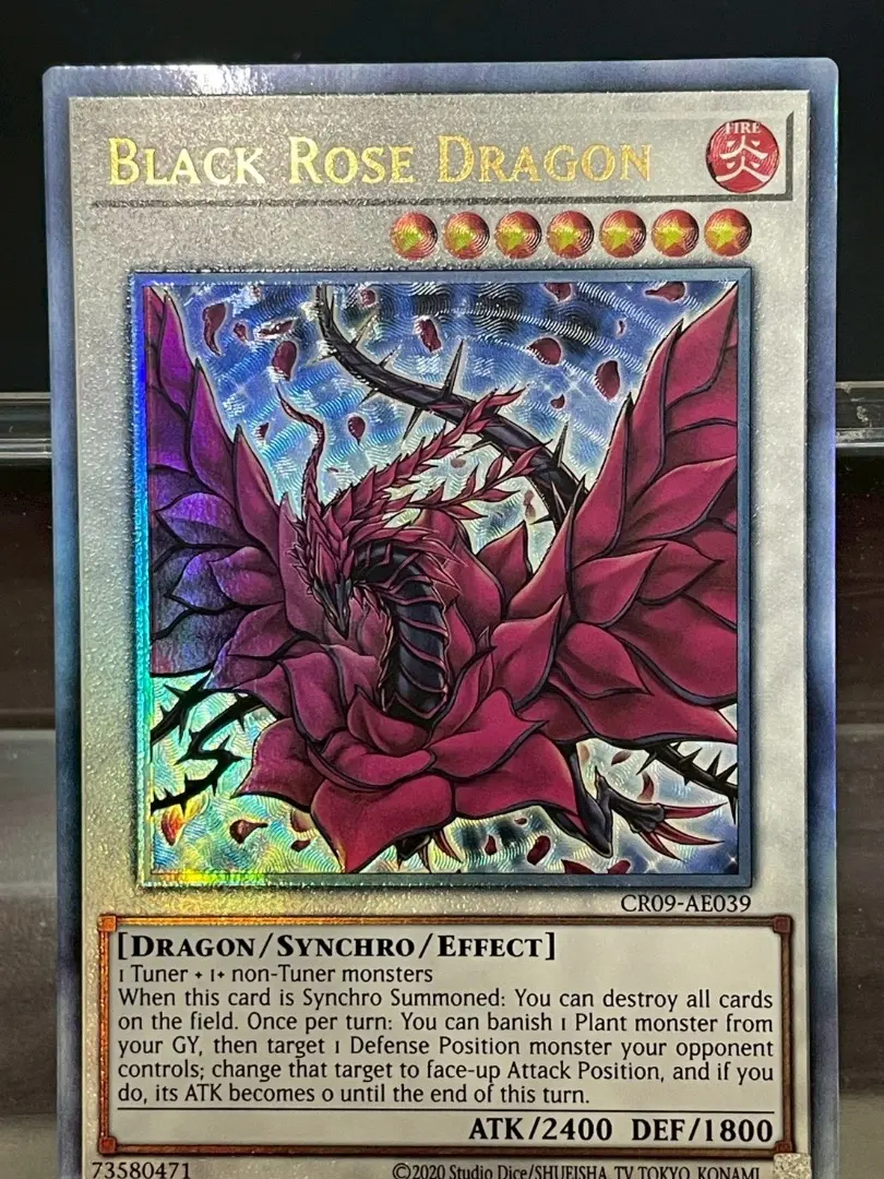 2026年最新】ブラックローズドラゴン レリーフ 英語の人気アイテム