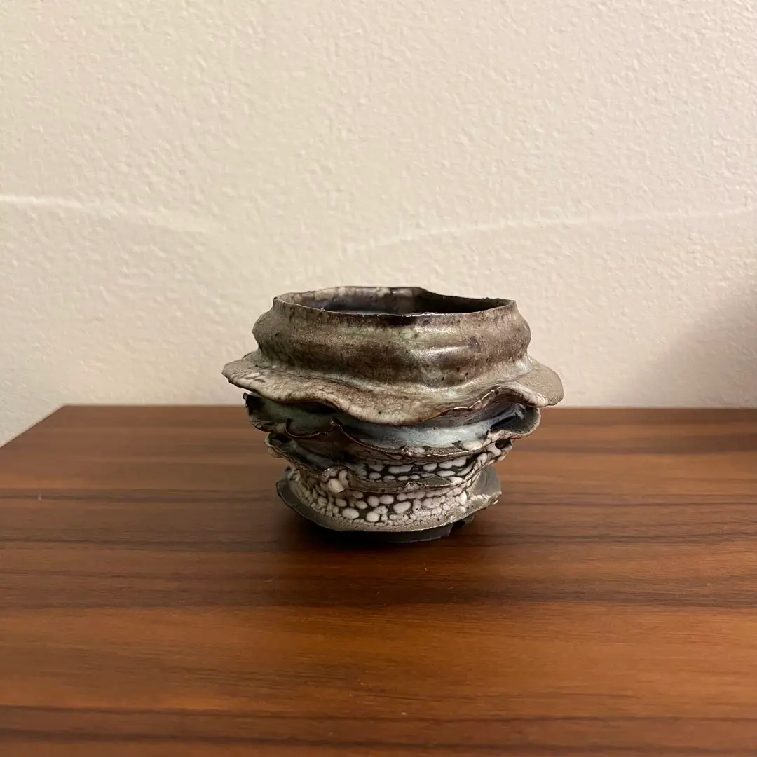 2026年最新】阪本健 鉢の人気アイテム - メルカリ