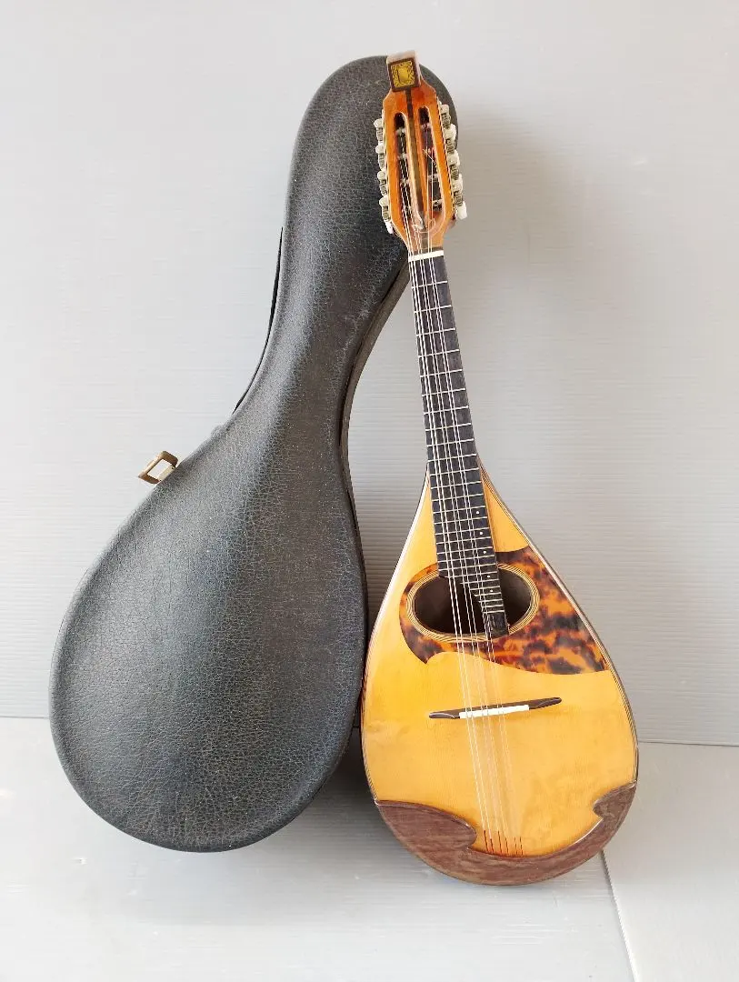 2026年最新】野口 マンドリンの人気アイテム - メルカリ