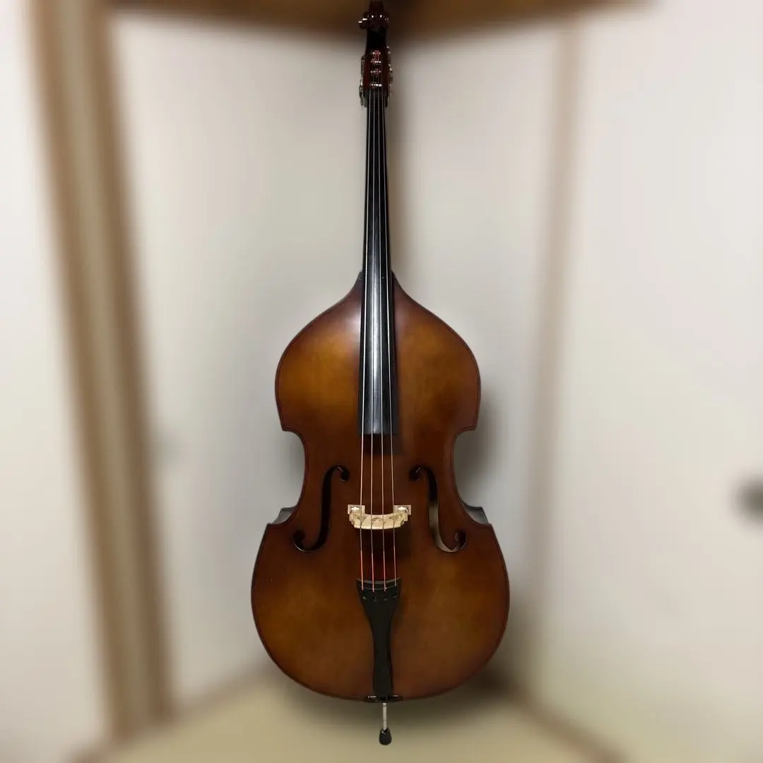 2026年最新】コントラバス エンドピンの人気アイテム - メルカリ