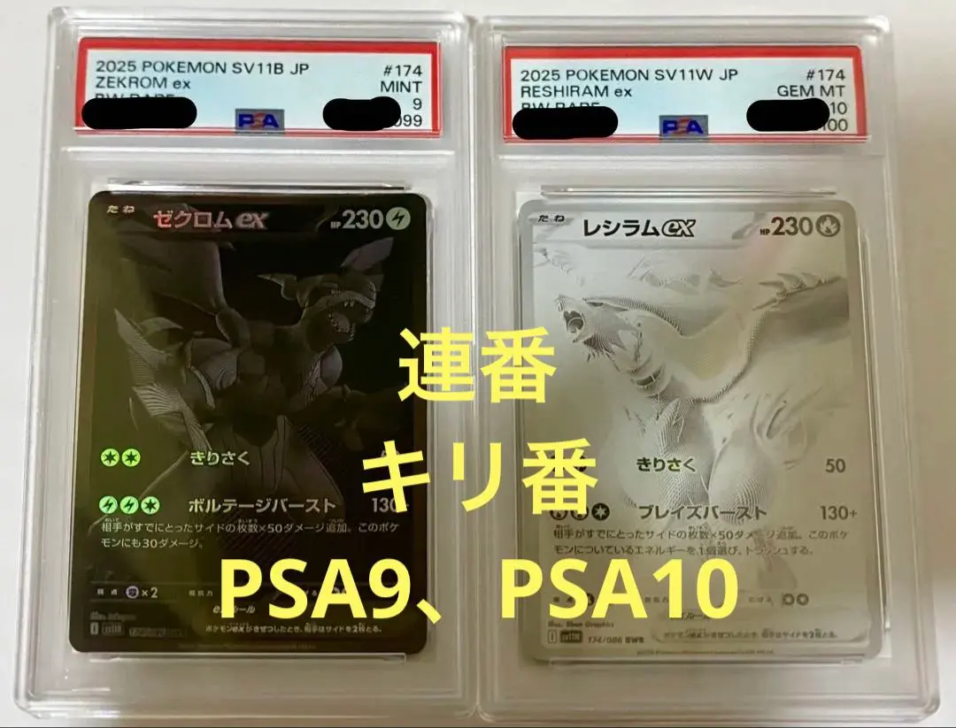 m62929418578_1.jpg?1763875952