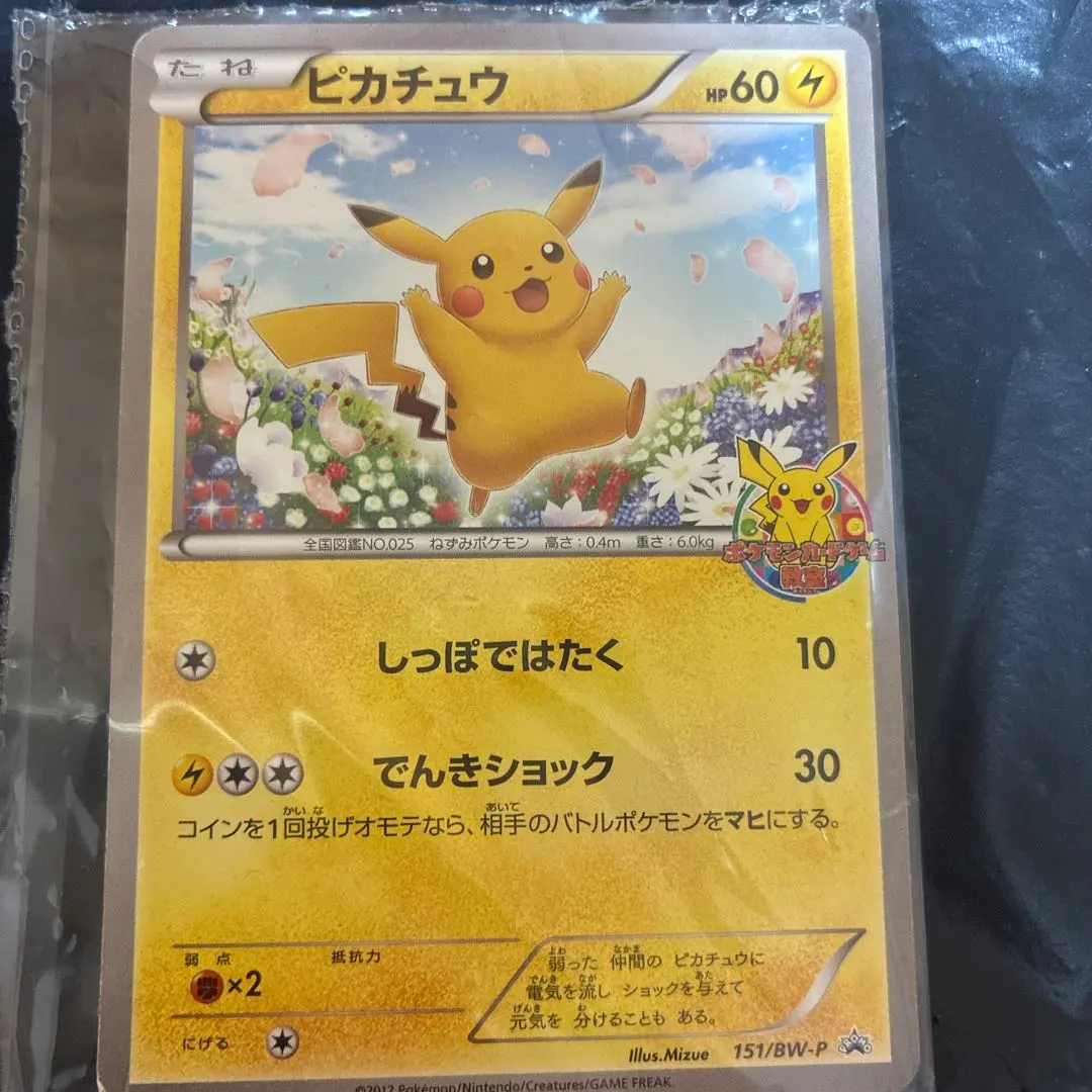 2026年最新】Pokemon Card Game カード名：ピチュー兄弟 ポケモン