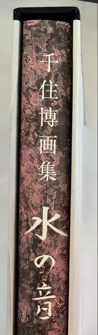 2026年最新】千住博 ウォーターフォールの人気アイテム - メルカリ