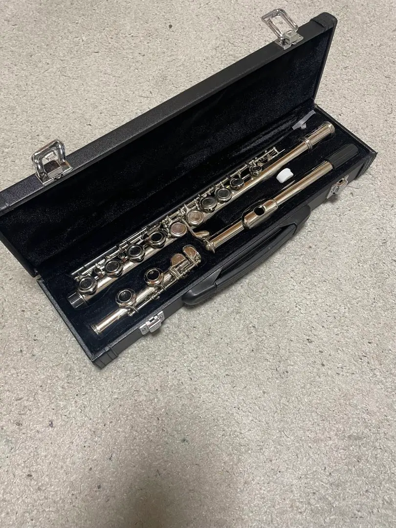 2026年最新】JINXIN フルートの人気アイテム - メルカリ