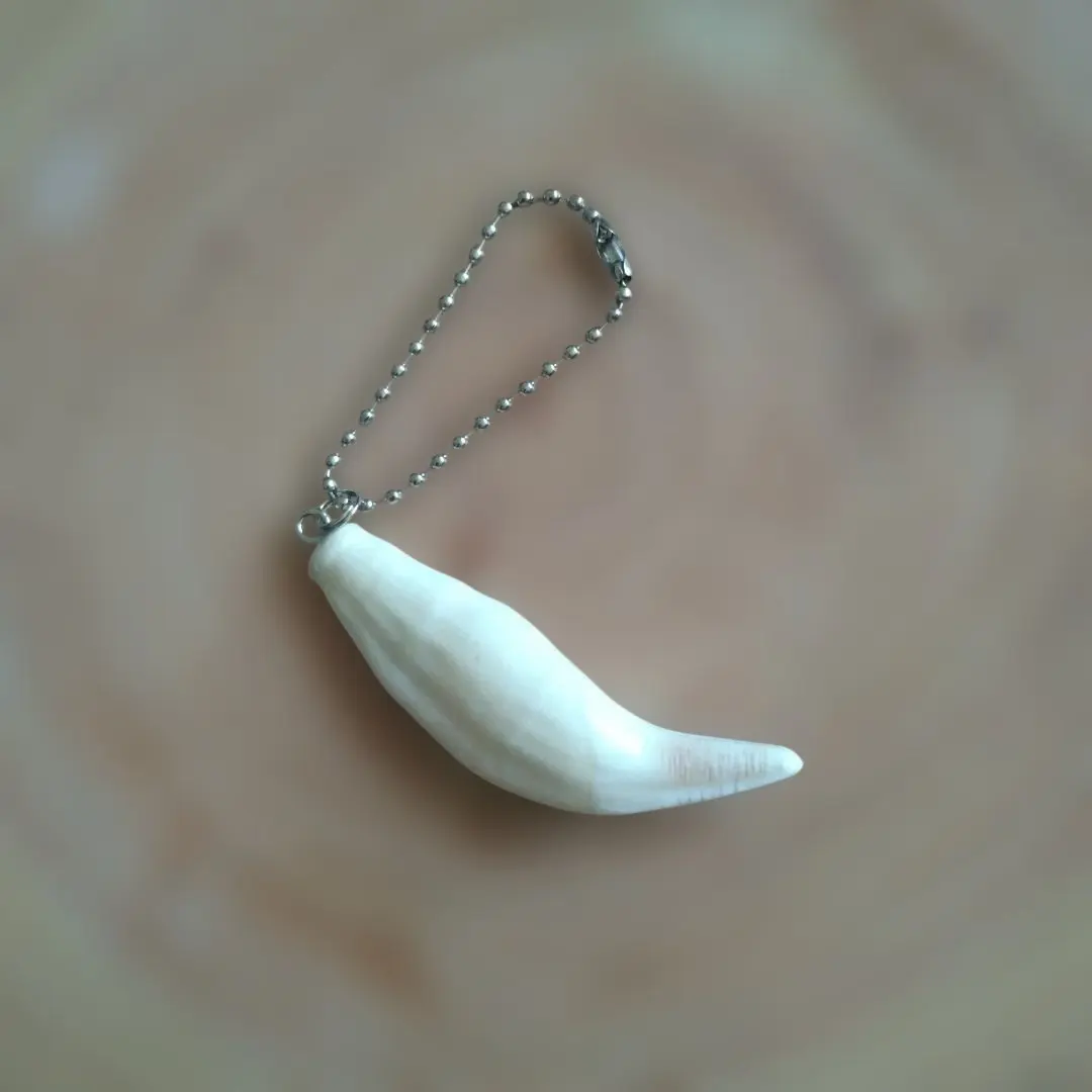 2026年最新】ヒグマ 牙の人気アイテム - メルカリ