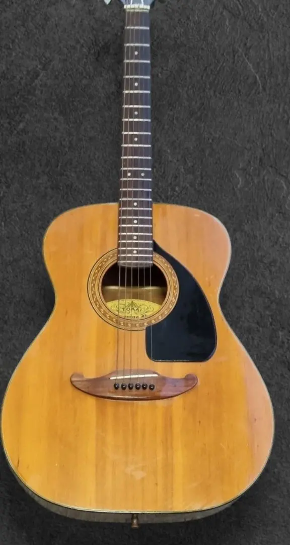 2026年最新】tokai humming birdの人気アイテム - メルカリ