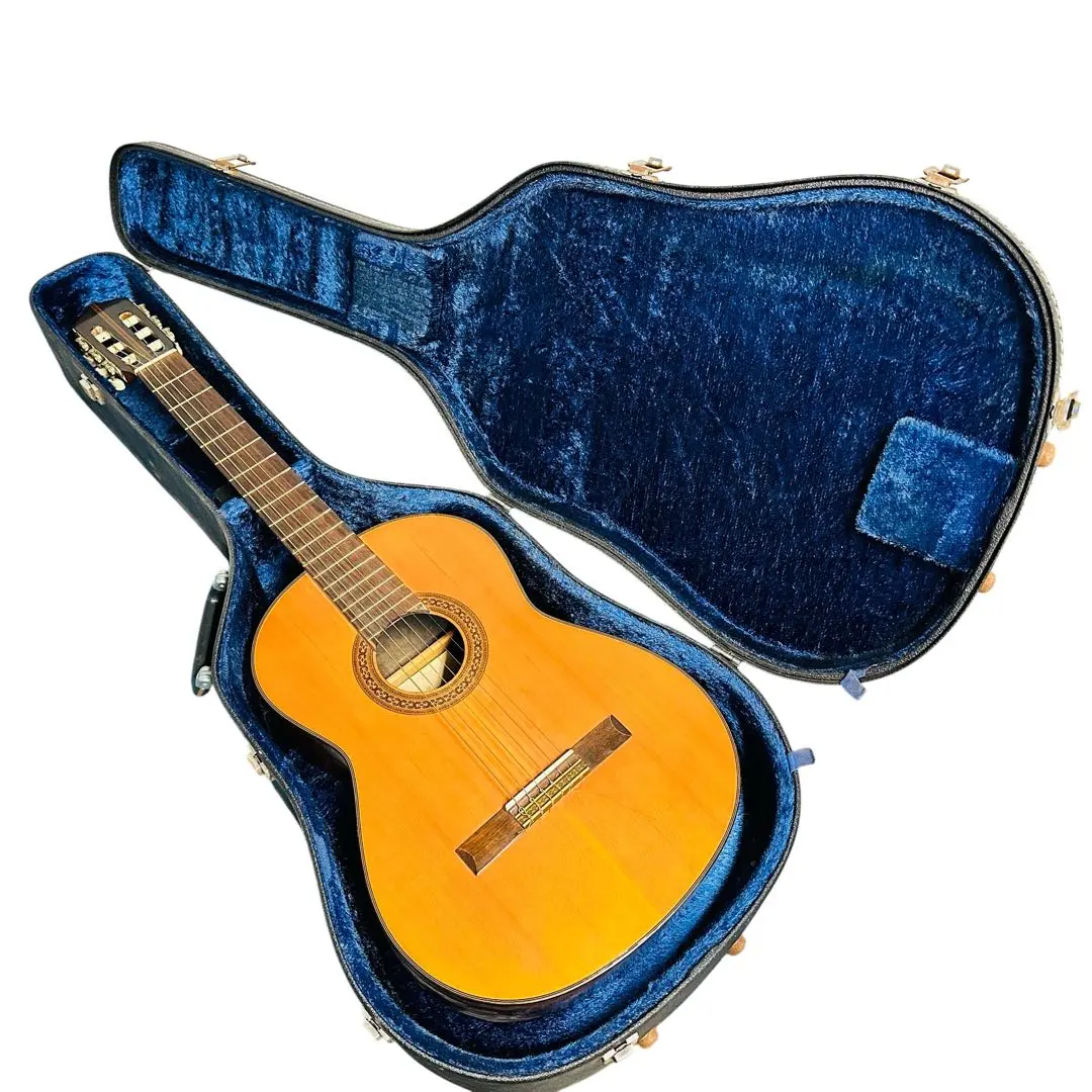 2026年最新】shinano guitarの人気アイテム - メルカリ