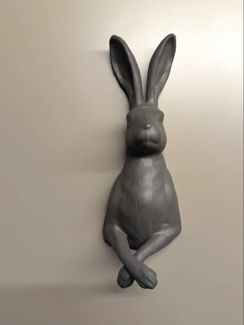 2026年最新】ヤナカーン うさぎの人気アイテム - メルカリ