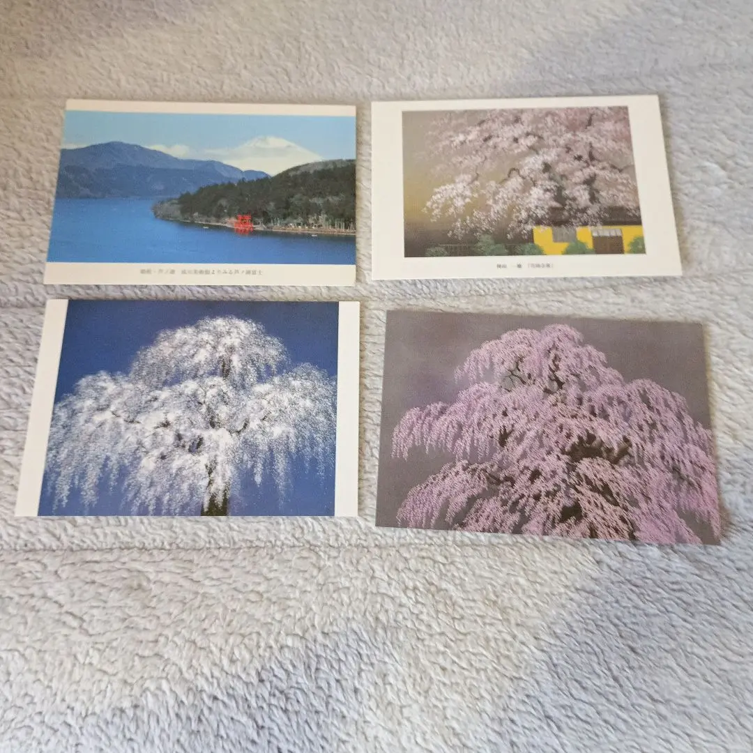 2026年最新】成川美術館の人気アイテム - メルカリ