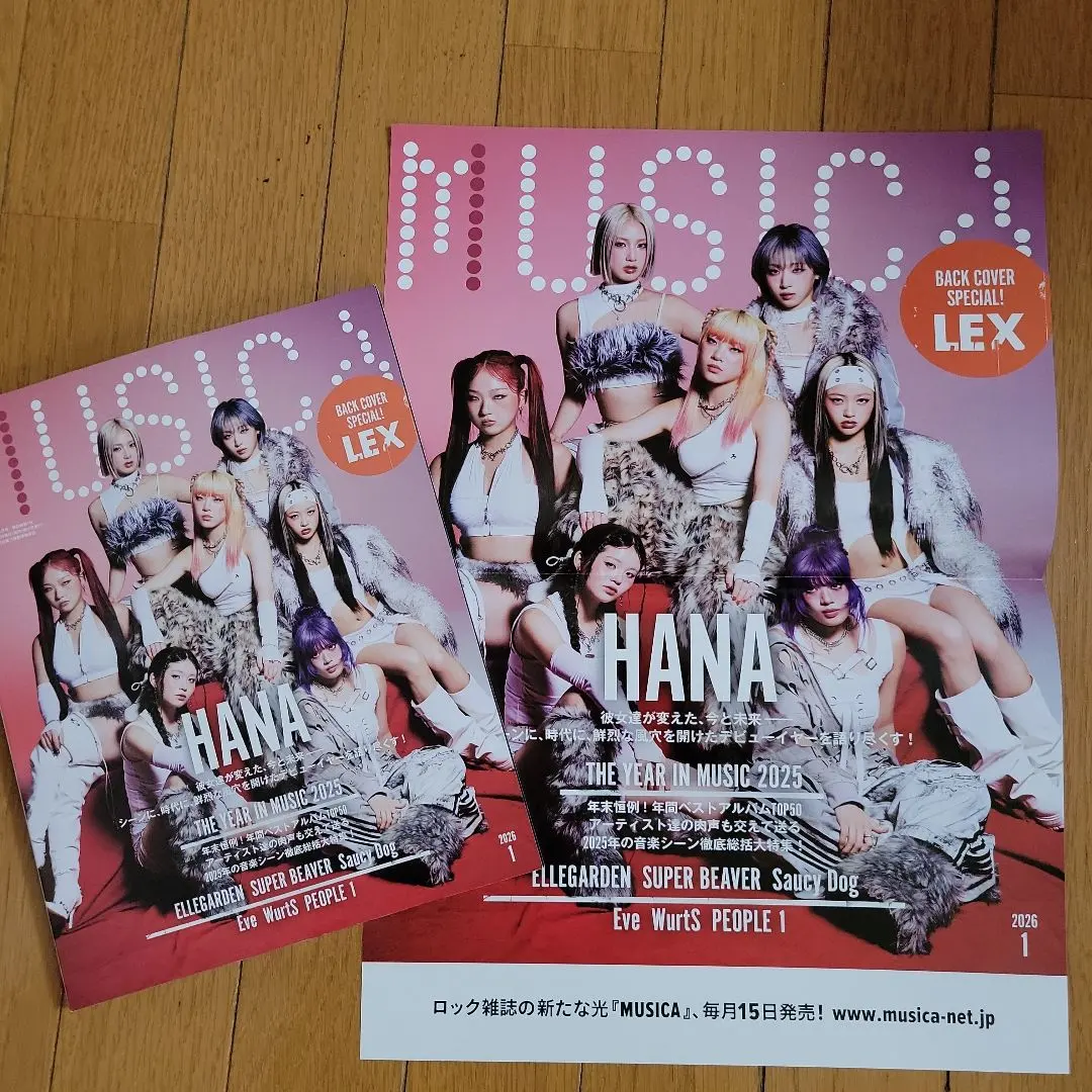 2026年最新】ELLEGARDEN ポスターの人気アイテム - メルカリ