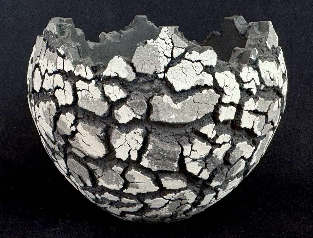 2026年最新】コネクト鉢の人気アイテム - メルカリ