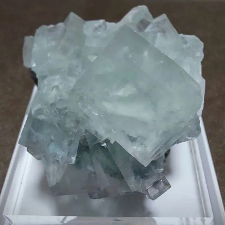 2026年最新】シャンファーリンの人気アイテム - メルカリ