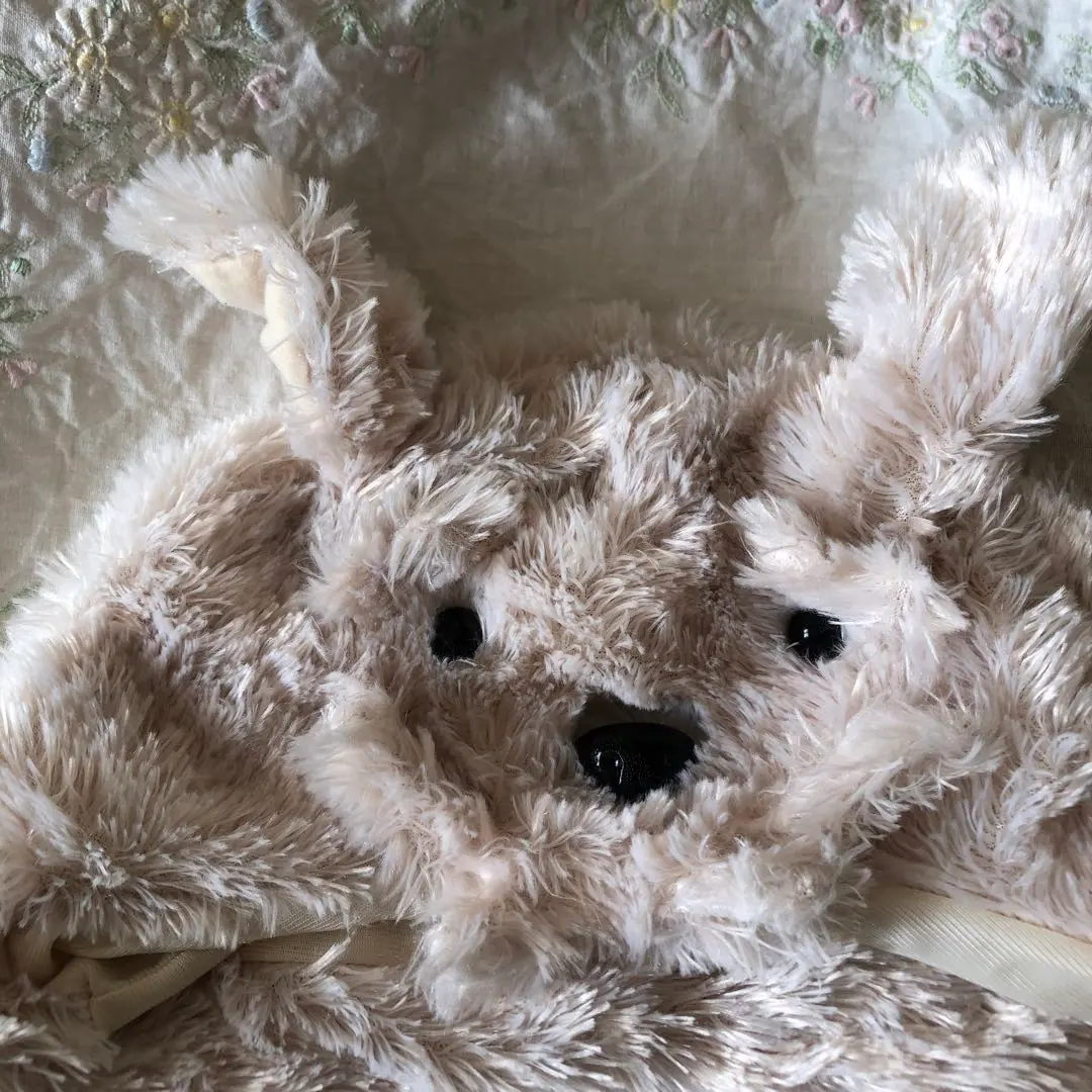 2026年最新】アインシュタインUSJの人気アイテム - メルカリ