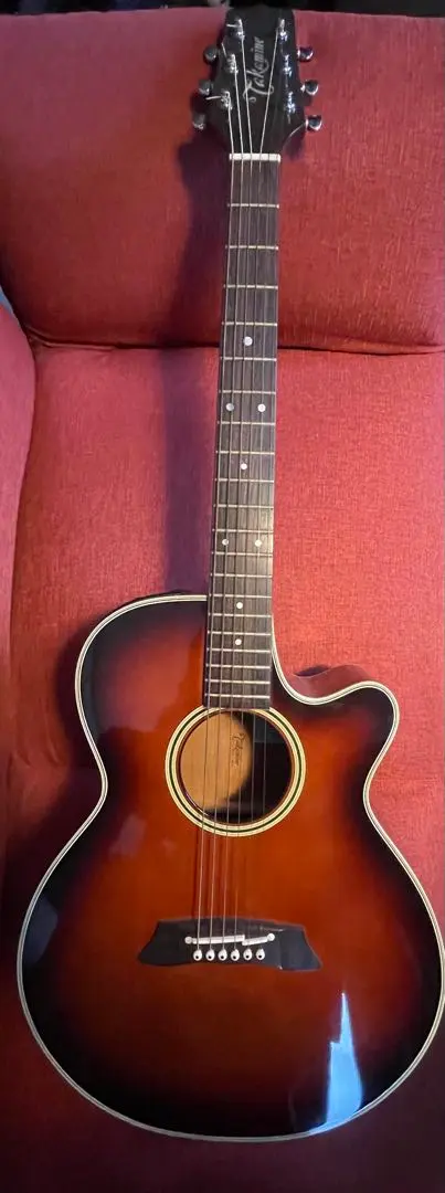 2026年最新】takamine pt 106の人気アイテム - メルカリ