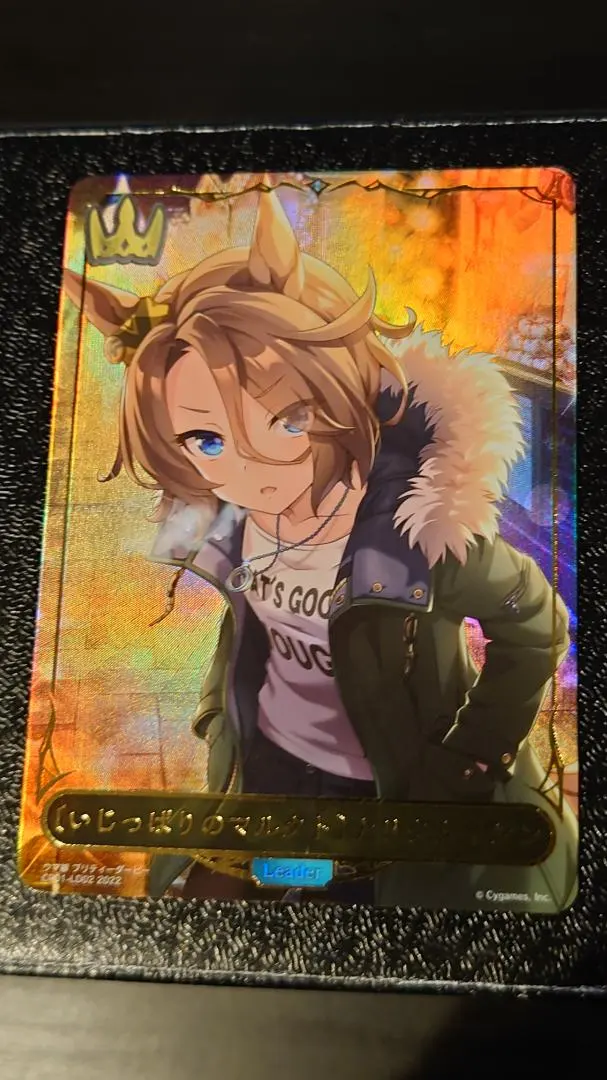 2026年最新】ナリタタイシン リーダーの人気アイテム - メルカリ