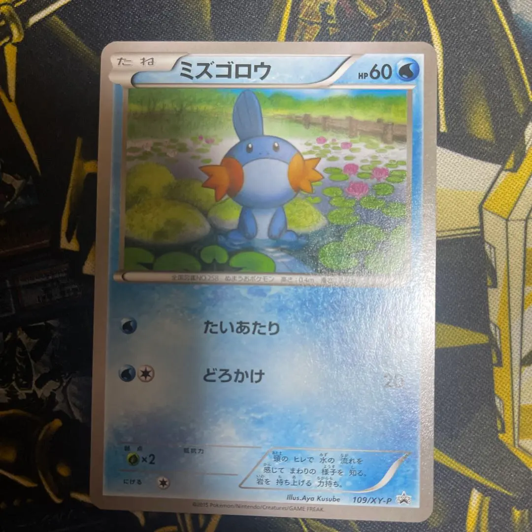 2026年最新】ポケモンカード ミズゴロウ 109/xy-pの人気アイテム